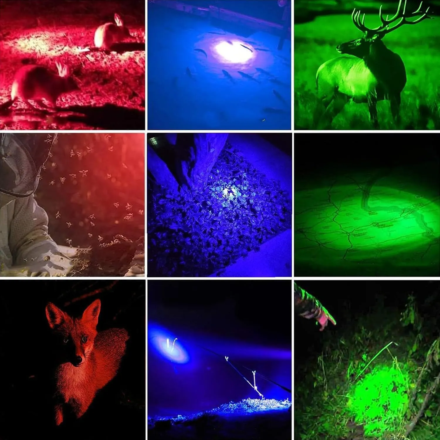 2 Pack LED Flashlights Torch,Small Flashlight Red Green Blue Light High lumens Flashlights with 3 Modes, Waterproof Zoomable Flash Light for Outdoors (Blue and red)
