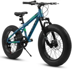20 Inch Fat Tire Bike Adult 7 Speed Mountain Bike, Dual Disc Brakes, High Carbon Steel Frame, Front Suspension, Mountain Buggy, City Commuter City Bicycle, Fat Tire Bicycle