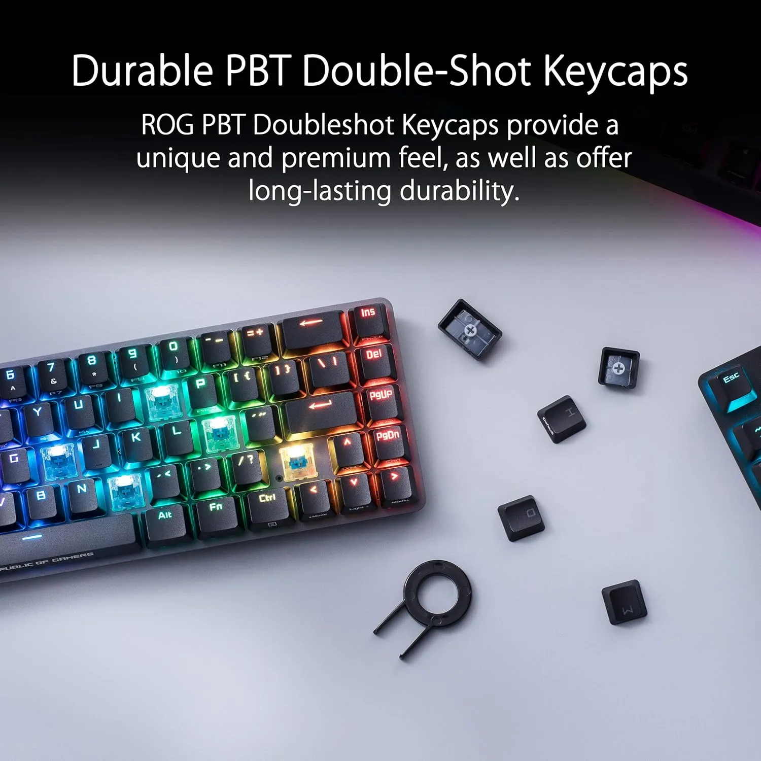 ASUS ROG Falchion NX 65% Wireless RGB Gaming Mechanical Keyboard | ROG NX Red Linear Switches, PBT Doubleshot Keycaps, Wired / 2.4G Hz, Touch Panel, Keyboard Cover Case, Macro Support,Black