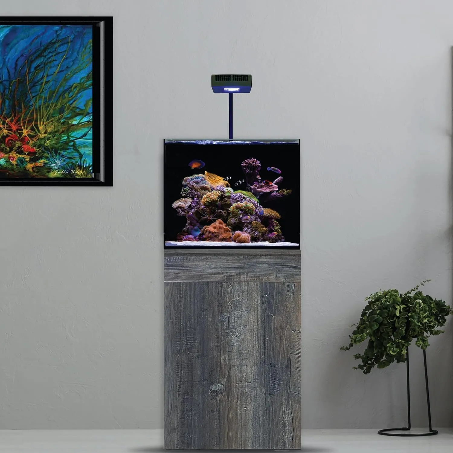 CURRENT Orbit R24 95W Reef LED Light with Loop Bluetooth Control & 24-Hour Timer | Flex Arm Mount | Saltwater & Marine Aquarium Lighting for LPS & SPS Corals (4440)