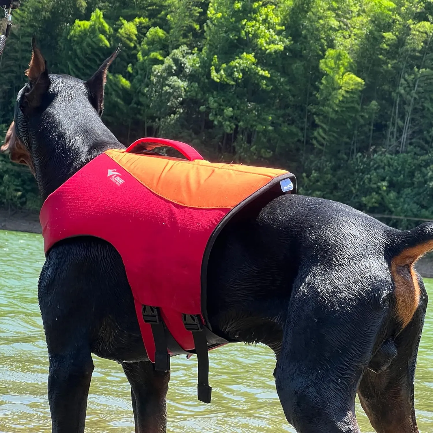 Dog Life Jacket, Sport Style Dog Float Coat with Excellent Buoyancy, Stylish Dog Swimming Safety Vest with Rescue Handle for Small Medium Large Dogs Orange-Red XL