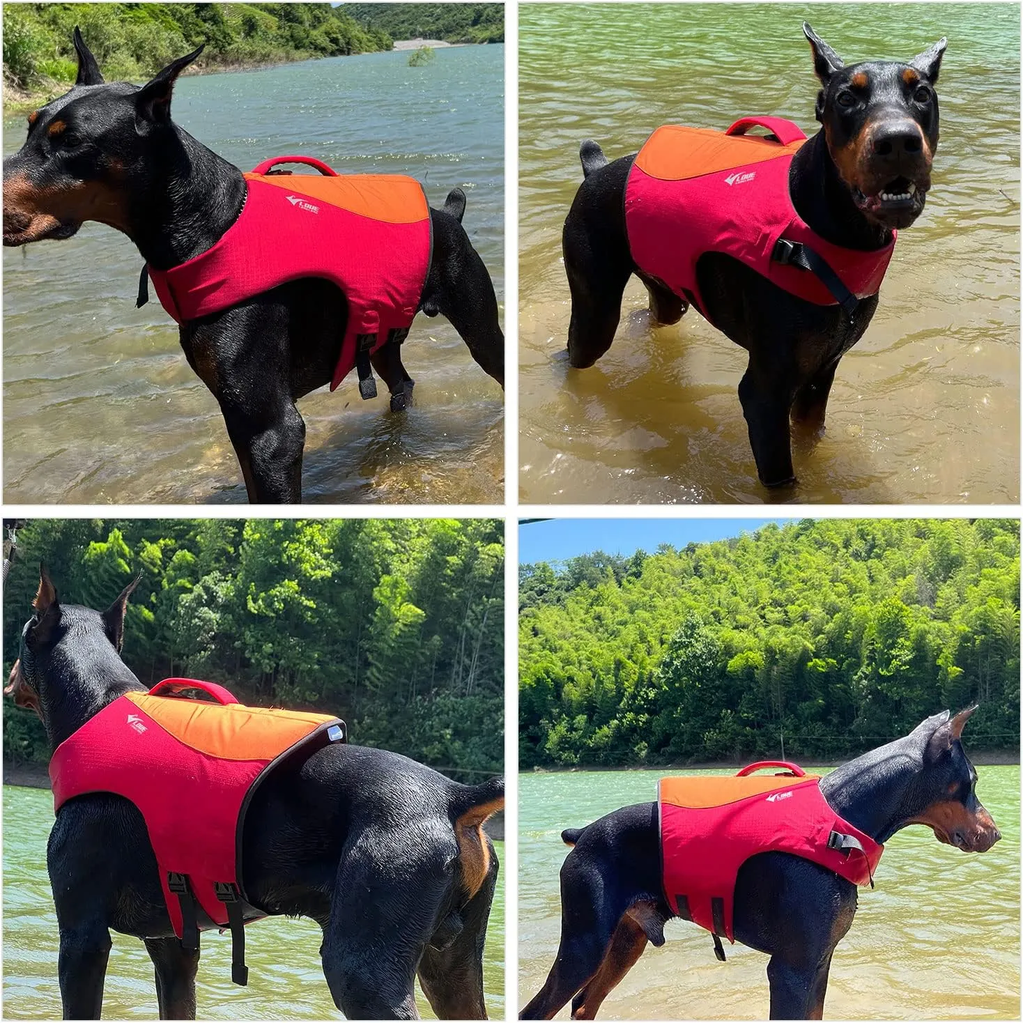 Dog Life Jacket, Sport Style Dog Float Coat with Excellent Buoyancy, Stylish Dog Swimming Safety Vest with Rescue Handle for Small Medium Large Dogs Orange-Red XL