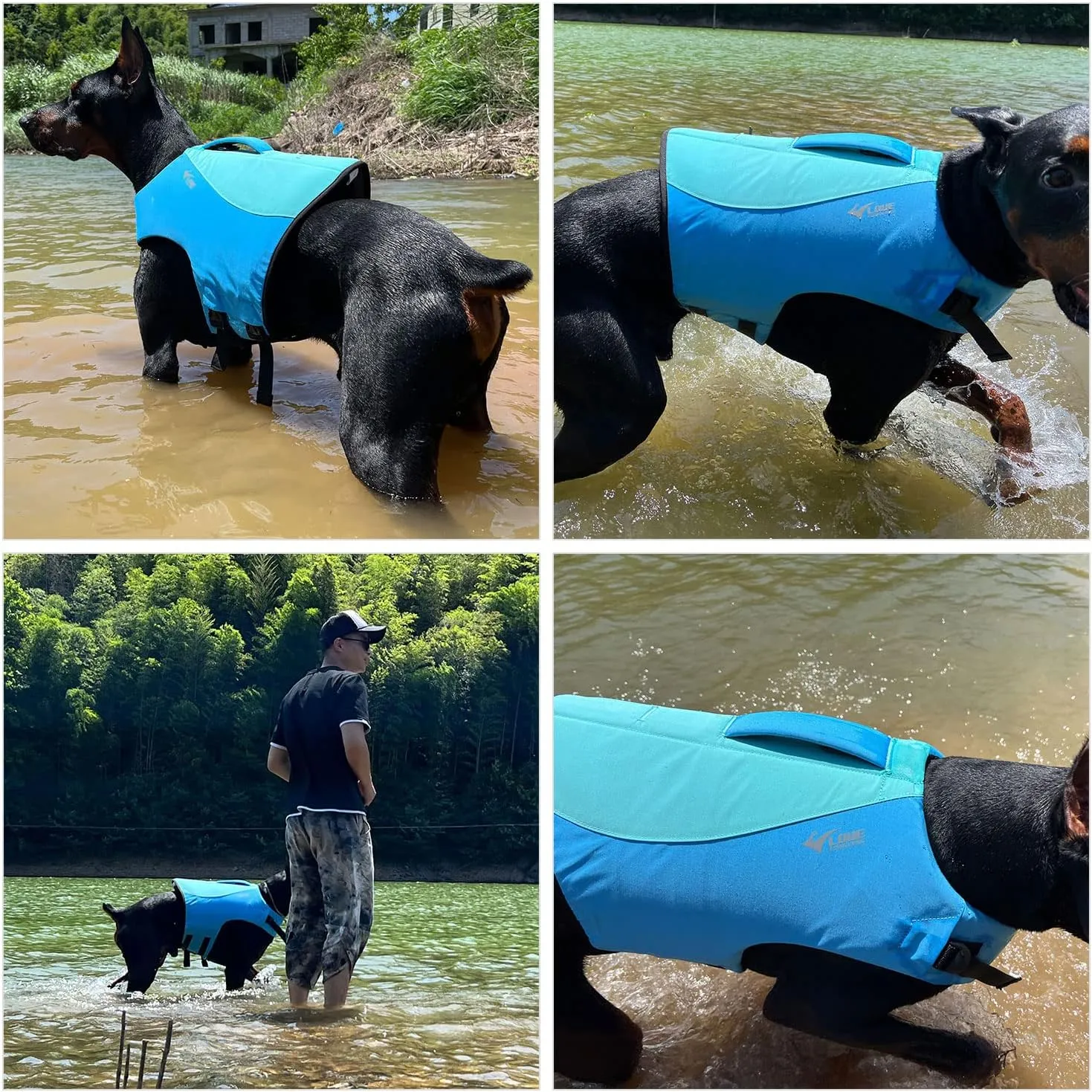 Dog Life Jacket, Sport Style Dog Float Coat with Excellent Buoyancy, Stylish Dog Swimming Safety Vest with Rescue Handle for Small Medium Large Dogs Turquoise XL