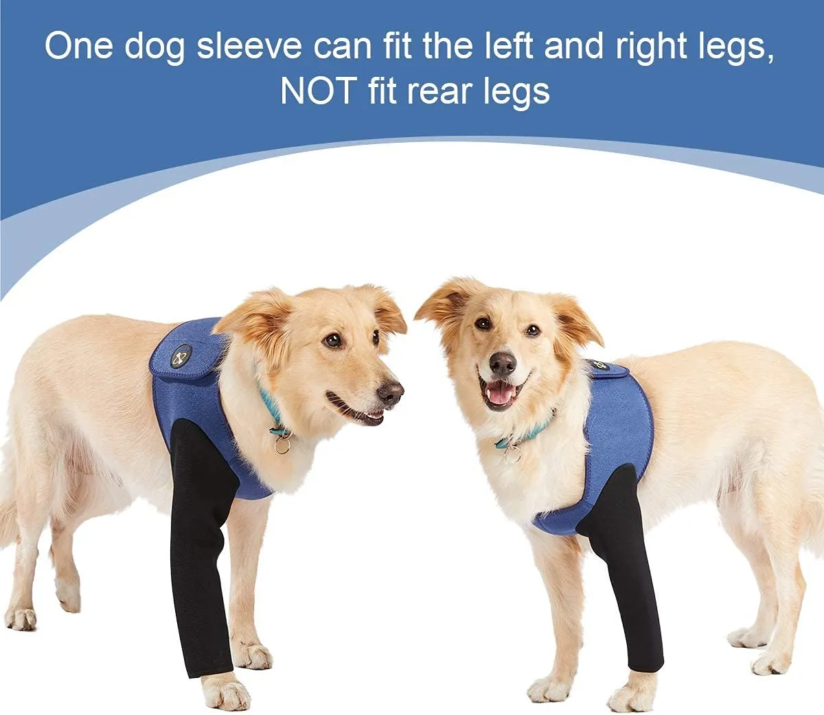 Dog Recovery Suit, Cone Collar Alternative, Abrasion Resistant Dog Recovery Sleeve, Washable 2.5mm Thick and Waterproof, Pet Wounds Prevent Licking, Bite, Keep Dry (XXL)