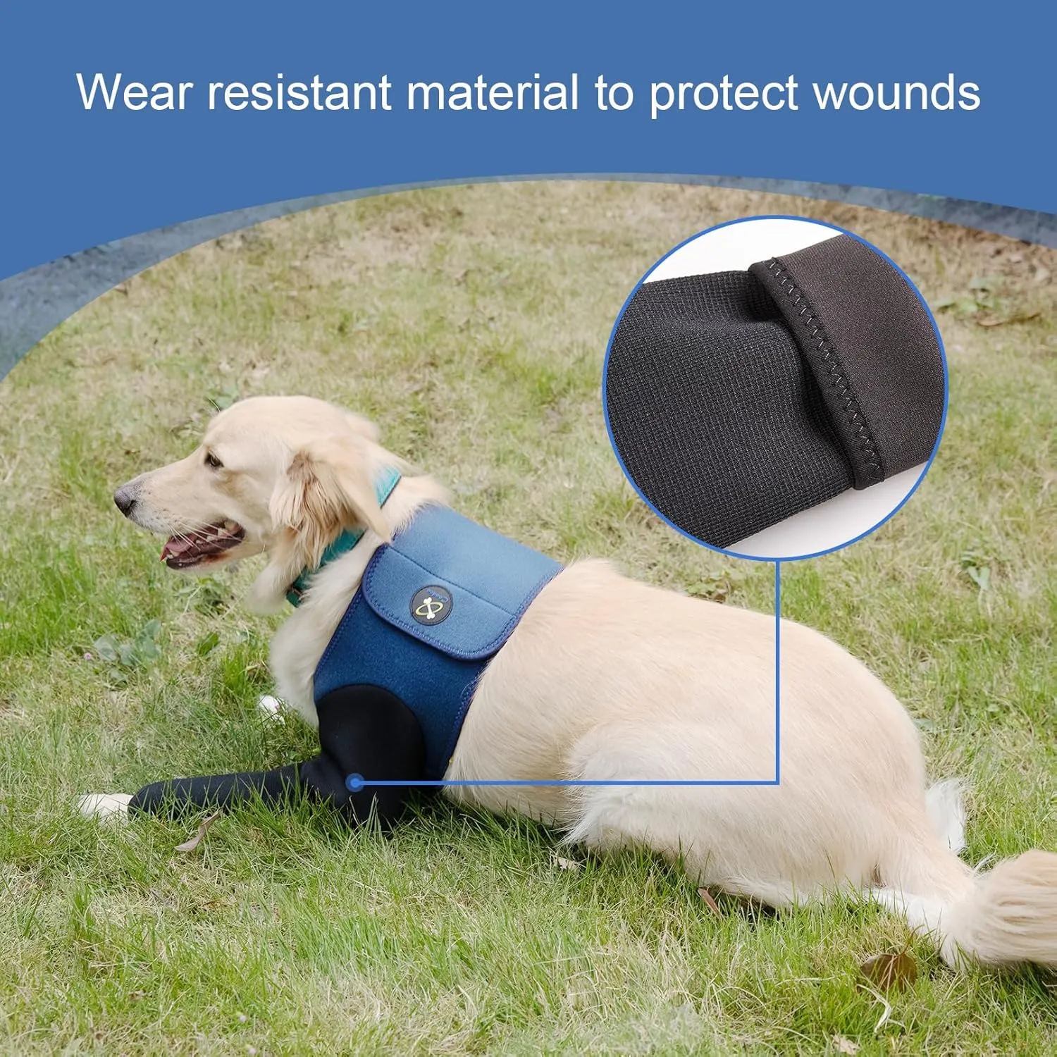 Dog Recovery Suit, Cone Collar Alternative, Abrasion Resistant Dog Recovery Sleeve, Washable 2.5mm Thick and Waterproof, Pet Wounds Prevent Licking, Bite, Keep Dry (XXL)