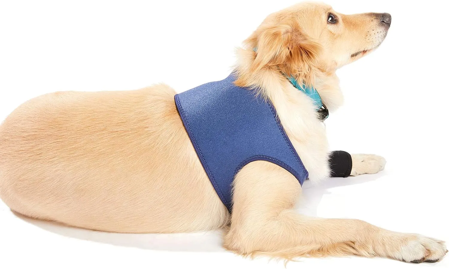 Dog Recovery Suit, Cone Collar Alternative, Abrasion Resistant Dog Recovery Sleeve, Washable 2.5mm Thick and Waterproof, Pet Wounds Prevent Licking, Bite, Keep Dry (XXL)