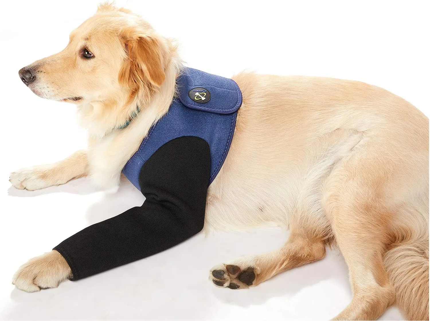 Dog Recovery Suit, Cone Collar Alternative, Abrasion Resistant Dog Recovery Sleeve, Washable 2.5mm Thick and Waterproof, Pet Wounds Prevent Licking, Bite, Keep Dry (XXL)