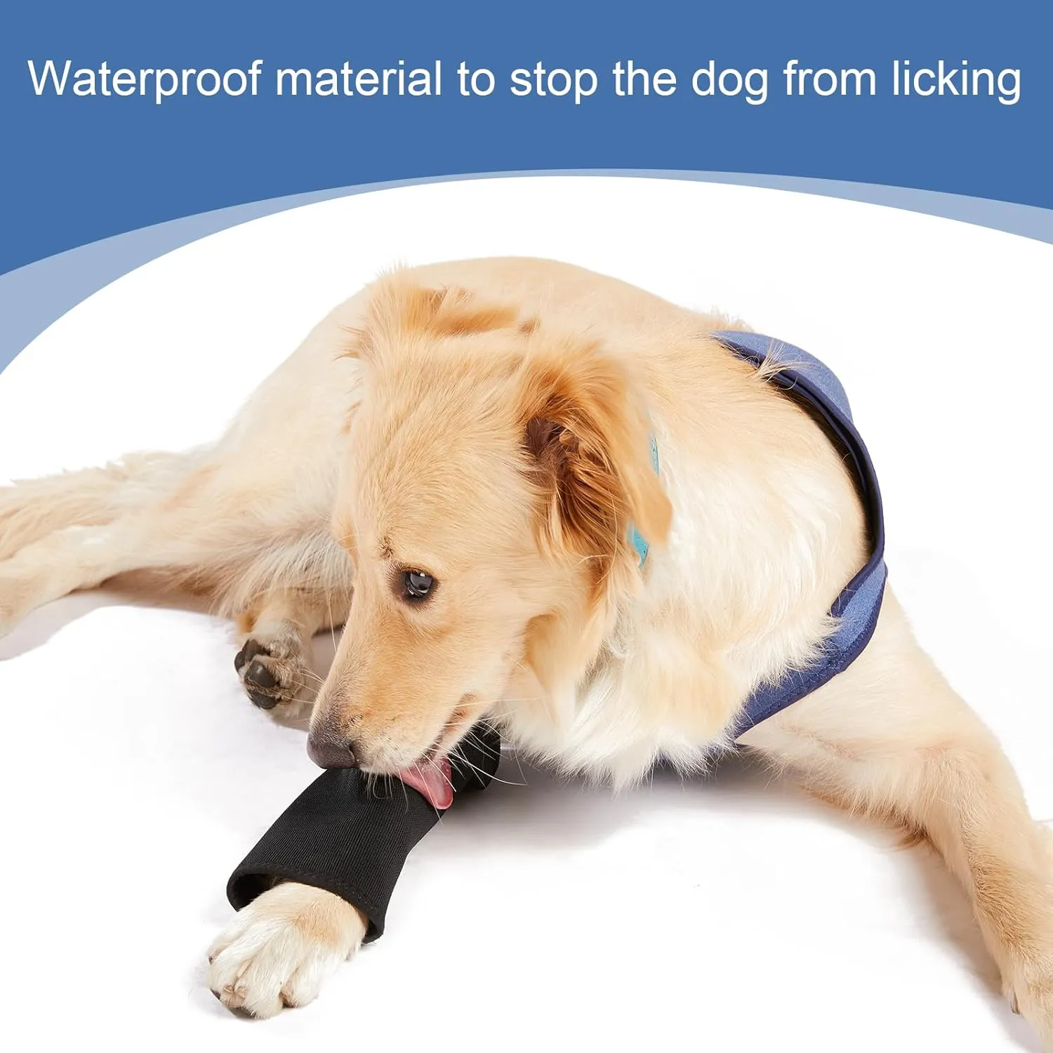 Dog Recovery Suit, Cone Collar Alternative, Abrasion Resistant Dog Recovery Sleeve, Washable 2.5mm Thick and Waterproof, Pet Wounds Prevent Licking, Bite, Keep Dry (XXL)