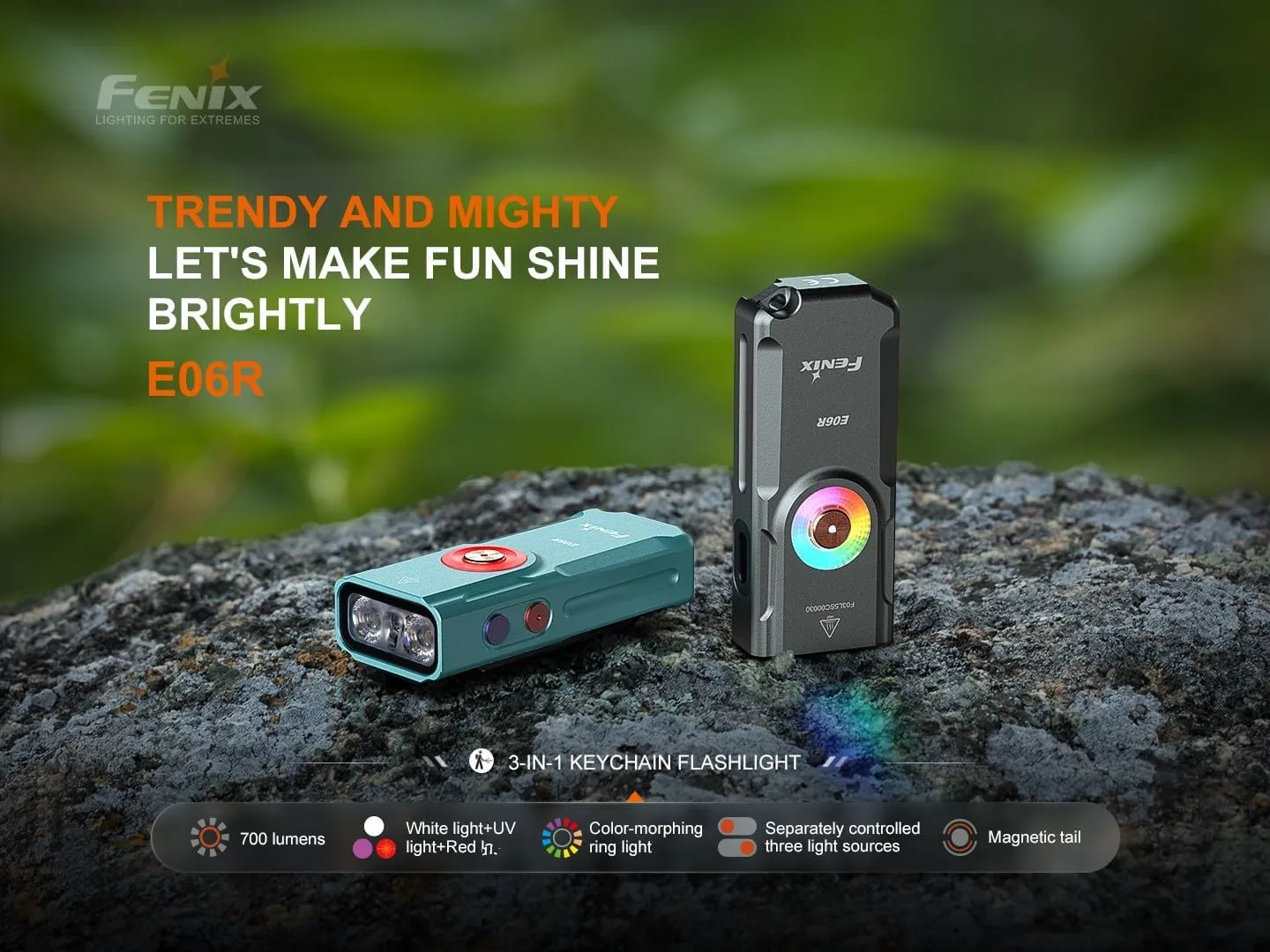 Fenix E06R 700 Lumen USB Rechargeable LED Keychain Flashlight/UV/Blacklight with EdisonBright Accessory case Bundle (Grey)