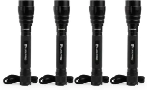 LUXPRO LP252-4PK 2AA LED Flashlights - Handheld Flashlights for Camping, Hiking & Power Outages - Batteries Included - 4 Pack