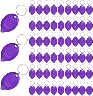 Mini UV Keychain Flashlight, Portable Black Light, 12 Lumen Ultra Bright Tiny Flashlight, Small Keychain Flashlight for Stain Detection & Scorpion Finder, Battery included (48PCS)