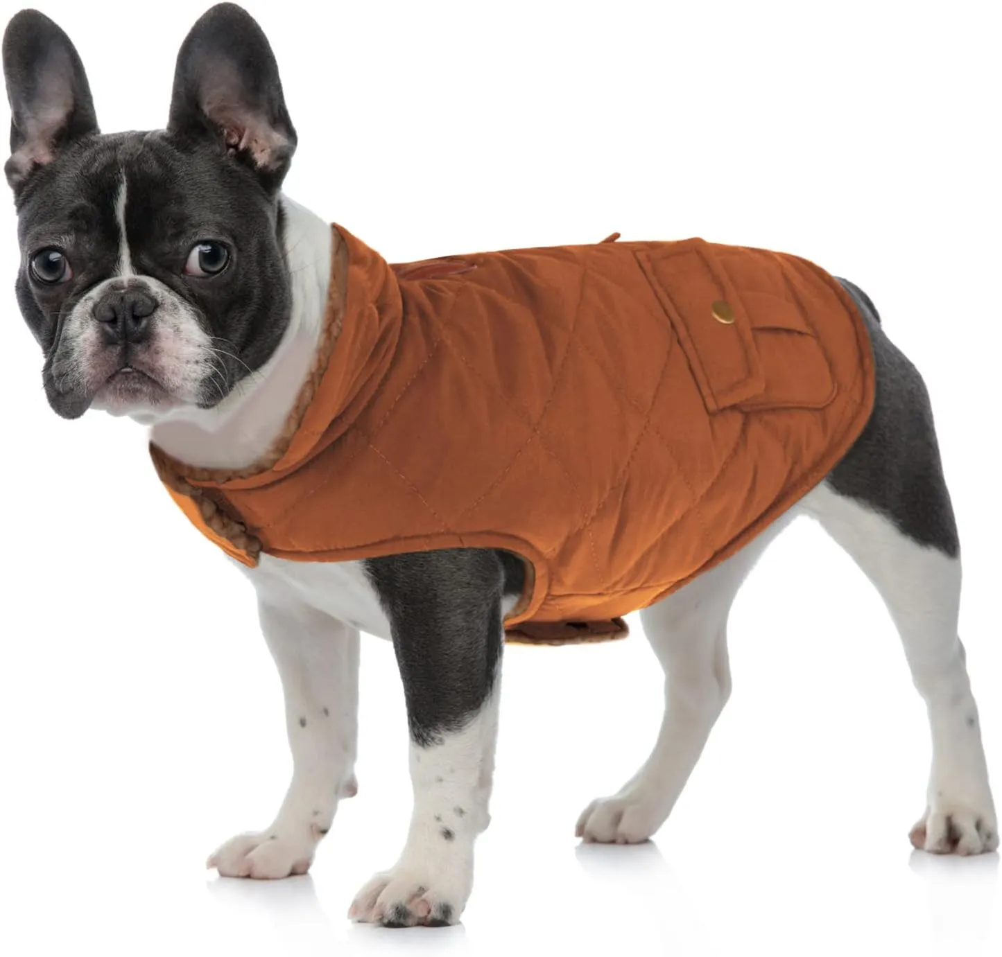 Queenmore Warm Dog Coat, Cold Weather Puffer Dog Coat, Quilting Winter Dog Jacket Ultra Thick Plush Lining with Storage Pockets (Brown, X-Small)