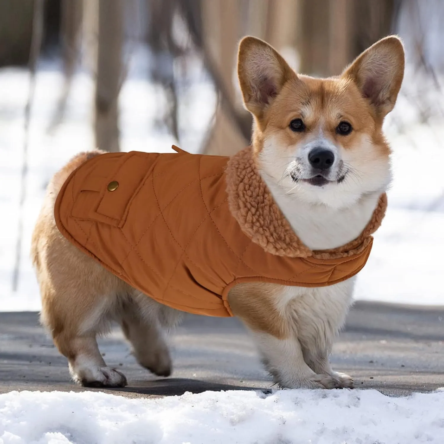 Queenmore Warm Dog Coat, Cold Weather Puffer Dog Coat, Quilting Winter Dog Jacket Ultra Thick Plush Lining with Storage Pockets (Brown, X-Small)