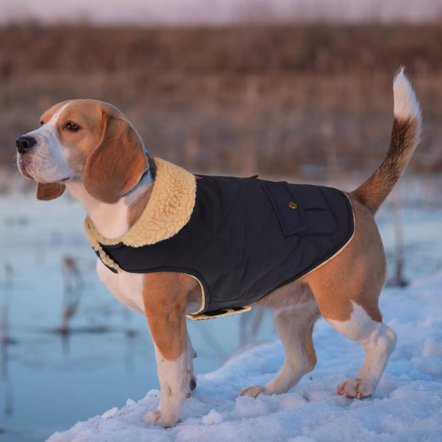 Queenmore Warm Puffer Dog Jacket, Quilting Winter Coat Ultra Thick Plush Lining with Storage Pockets (Dark Navy, X-Small)