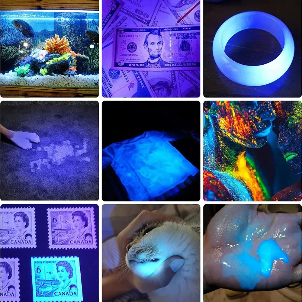 UV Light and Strong Light Flashlight, USB Rechargeable Black Light LED Lantern for Camping and Pet Urine Stains
