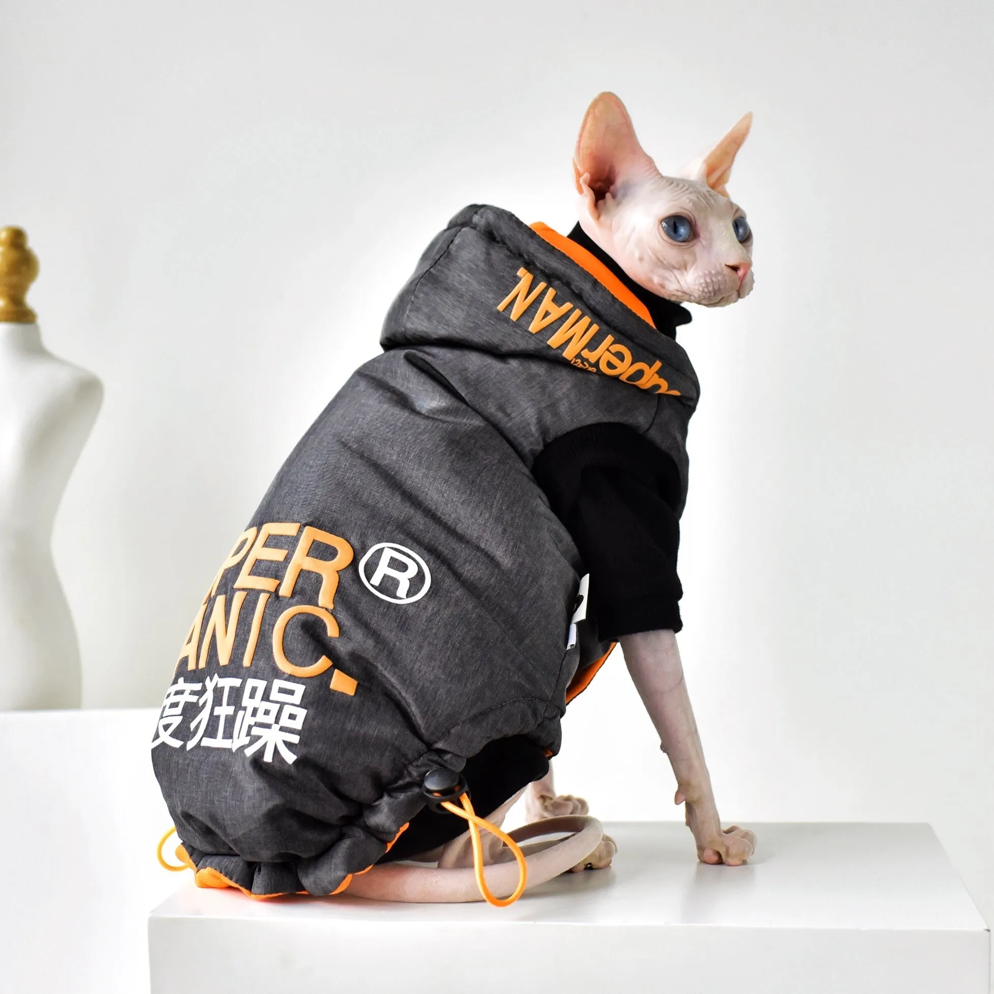 Windproof Jacket